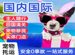 南洋机场快递国际宠物托运 【国